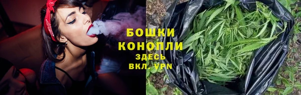 сатива Навашино
