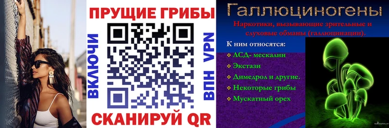 Псилоцибиновые грибы мицелий  ссылка на мегу как зайти  Нижнеудинск  продажа наркотиков 