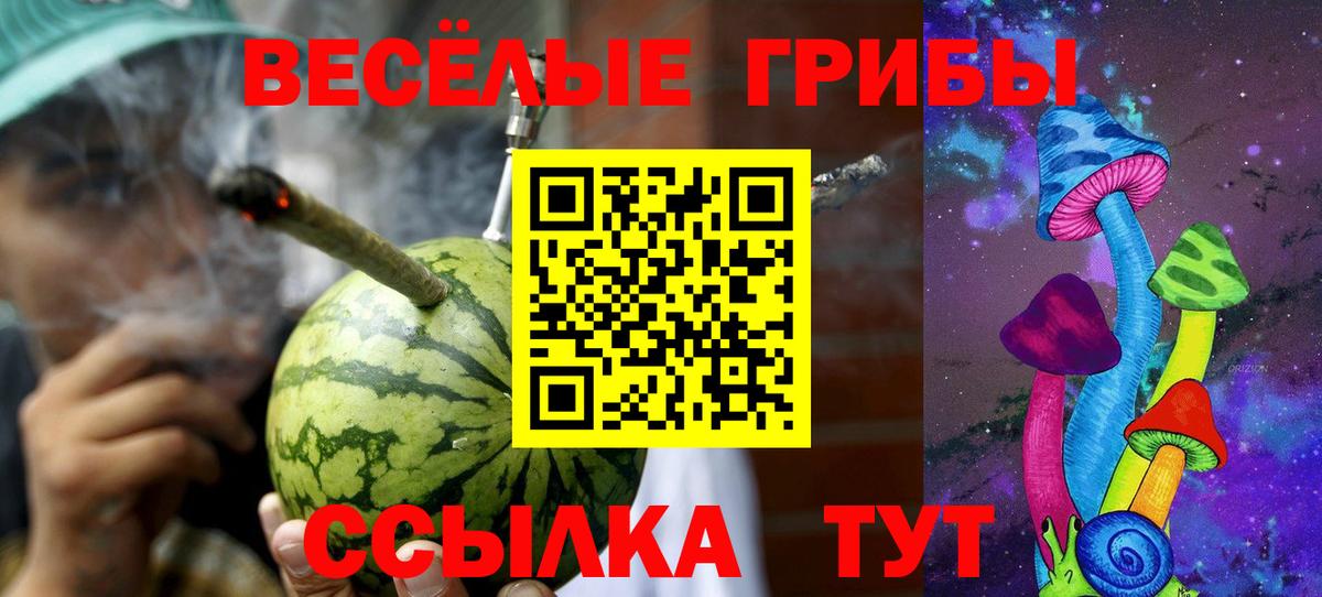 Галлюциногенные грибы мицелий Нижнеудинск
