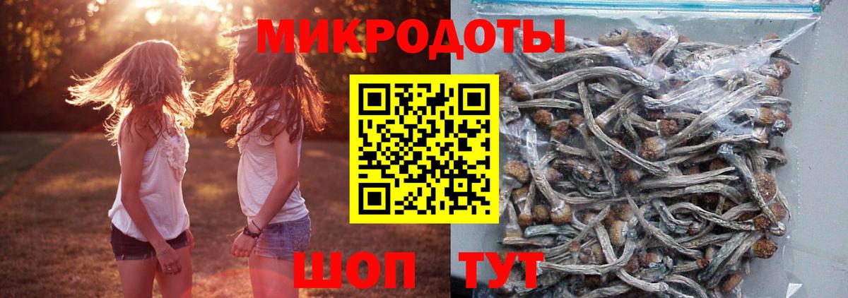 Псилоцибиновые грибы Cubensis  Вход с VPN  Нижнеудинск 